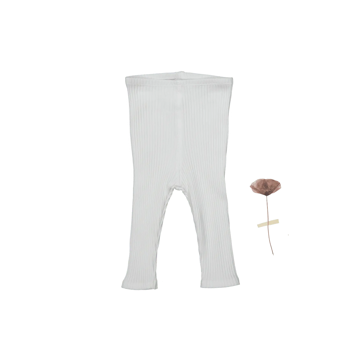 The Legging - Bone - Sleeve, Pattern, Sock | Everetts Place