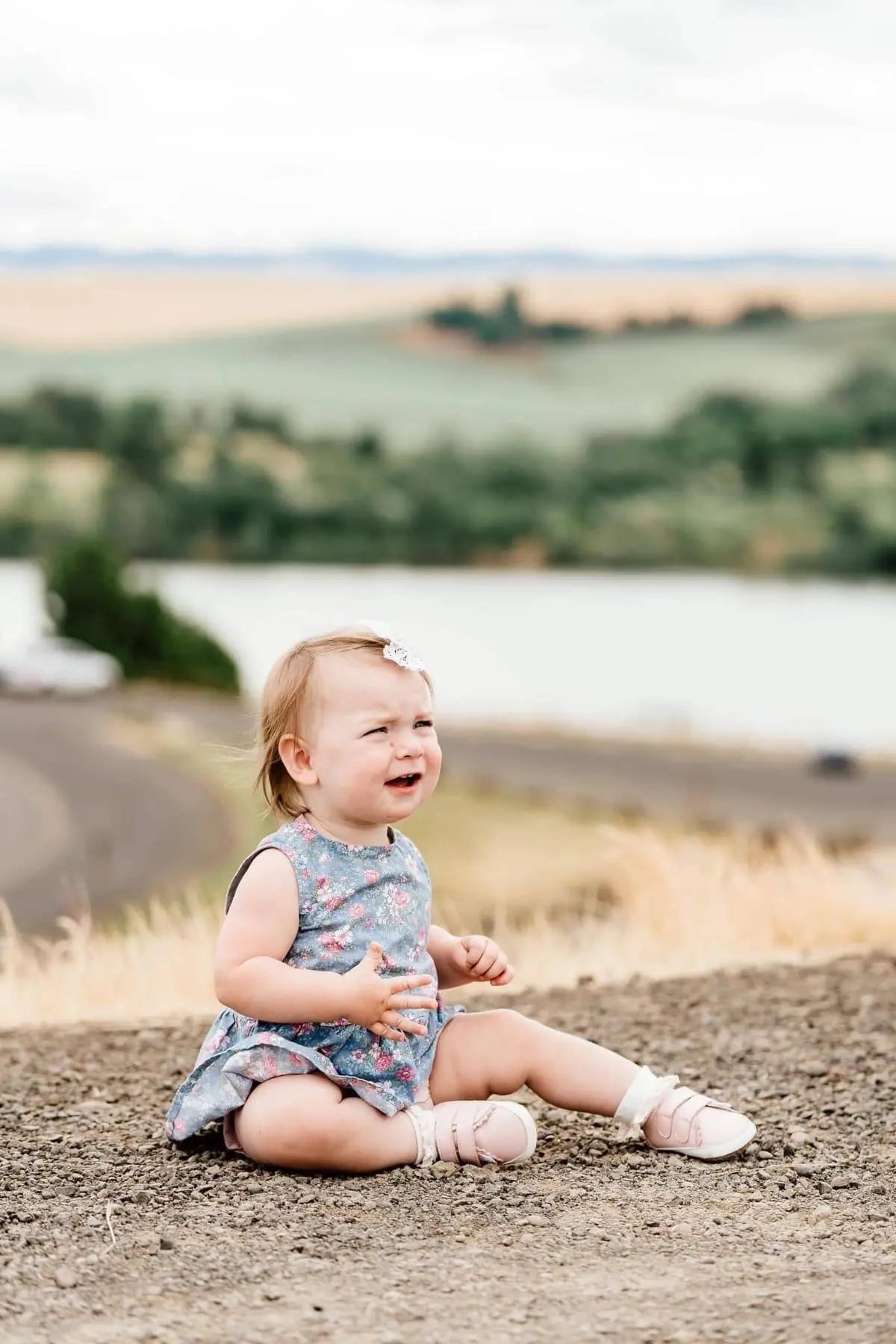 The Nora Little Love Bug Co.
