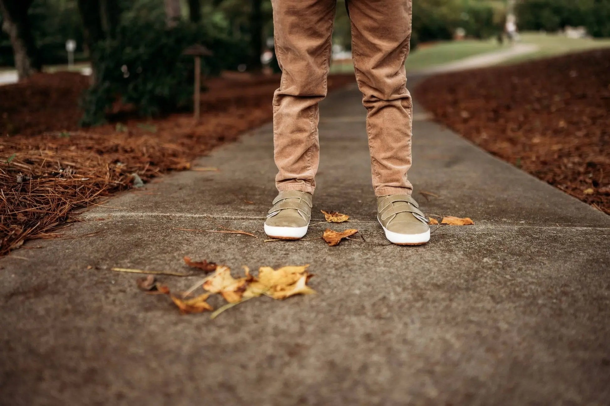 The Patterned Low Tops Little Love Bug Co.