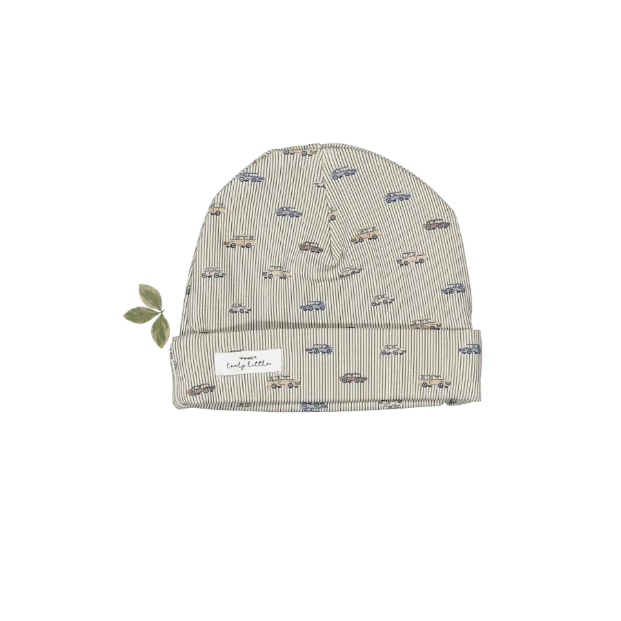 The Printed Hat - Vintage Car - Knit cap, Beanie, Label, Hat | Everetts Place