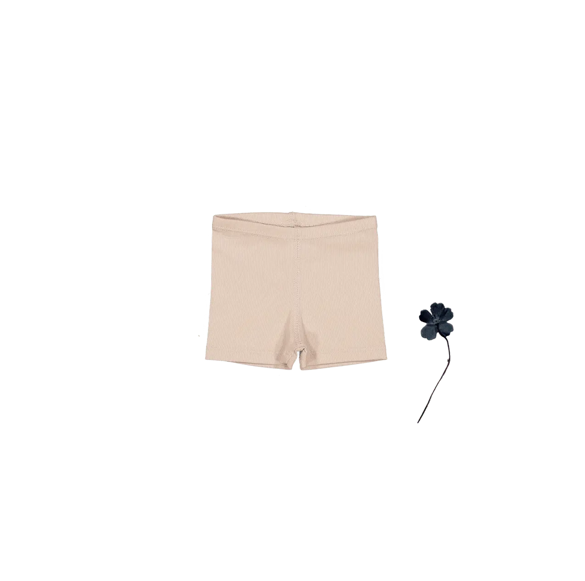 The Short - Blush - Undergarment, Briefs, Active Shorts, Underpants, Trunks | Everetts Place