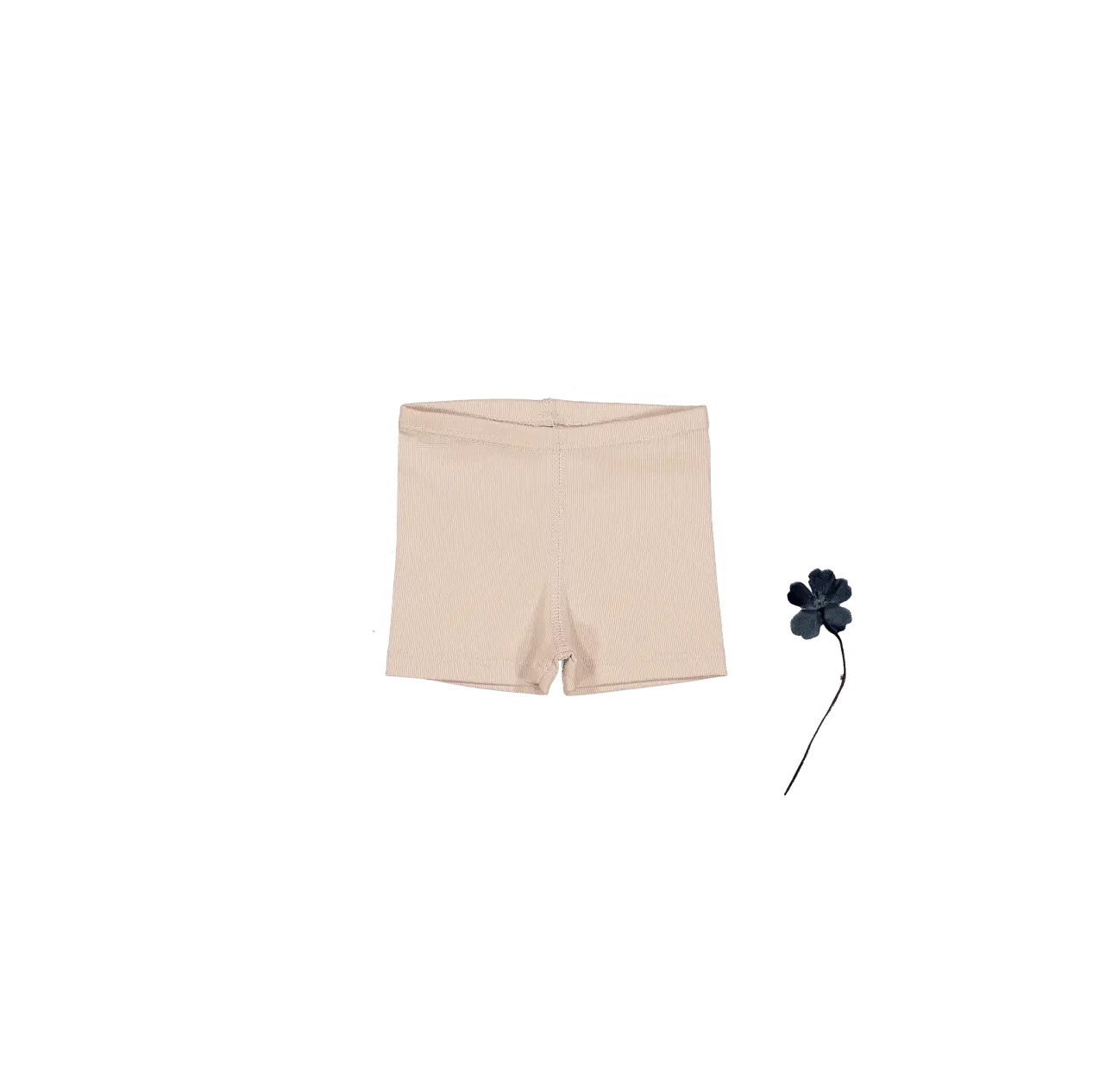 The Short - Blush - Undergarment, Briefs, Active Shorts, Underpants, Trunks | Everetts Place