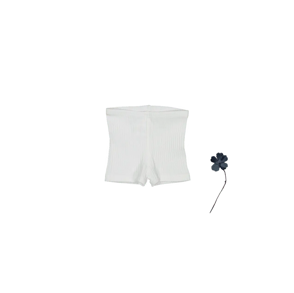 The Short - Bone - White, Active Shorts, Trunks, Briefs, Undergarment | Everetts Place