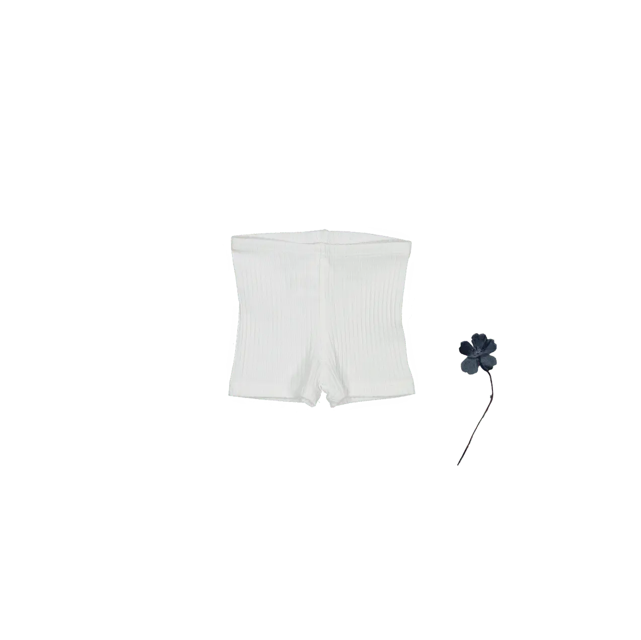 The Short - Bone - White, Active Shorts, Trunks, Briefs, Undergarment | Everetts Place