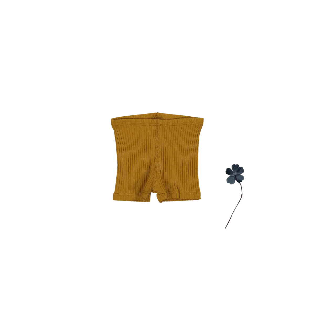The Short - Cider - Yellow, Active Shorts, Trunks, Bermuda shorts, Woolen | Everetts Place