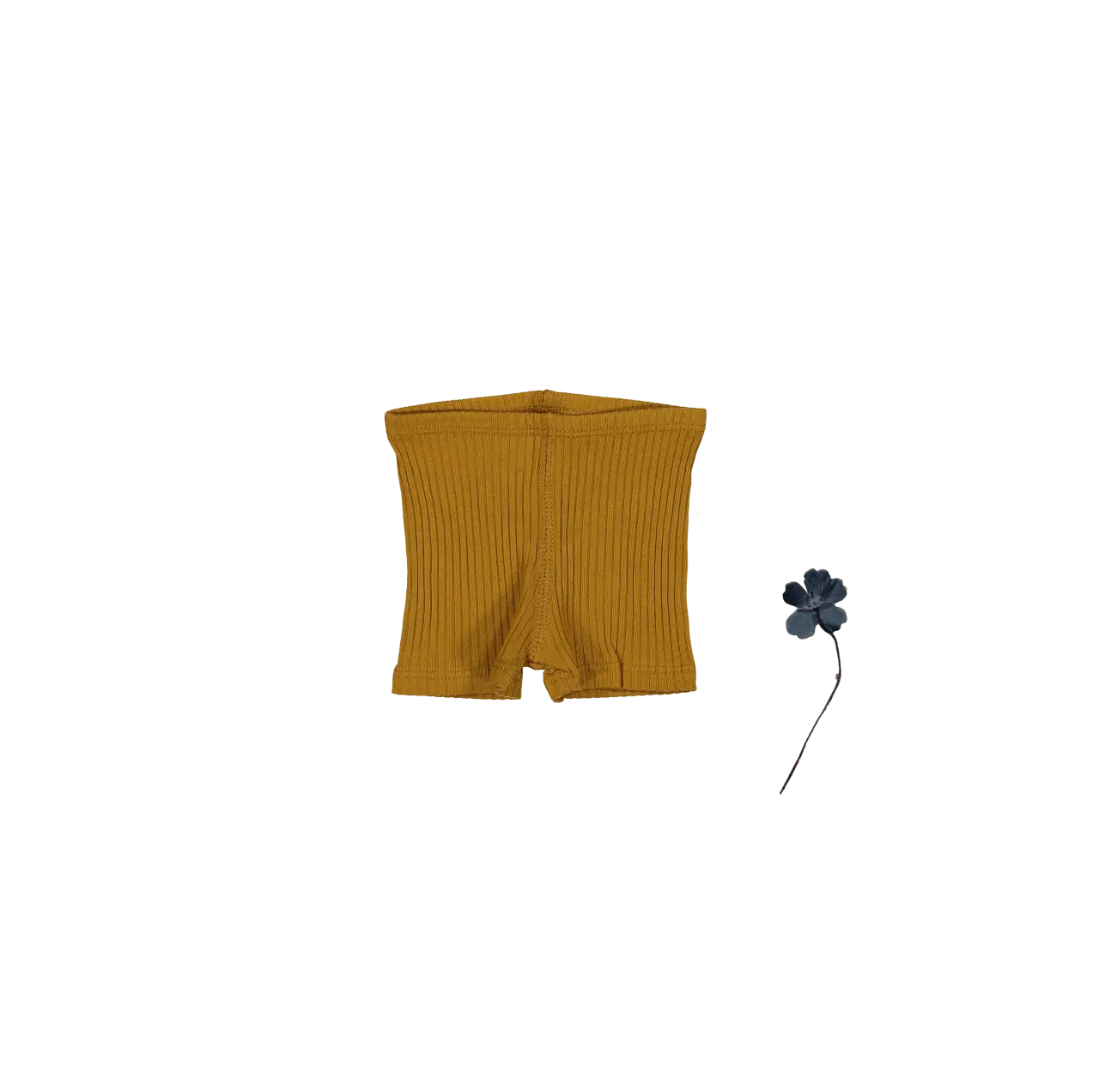 The Short - Cider - Yellow, Active Shorts, Trunks, Bermuda shorts, Woolen | Everetts Place