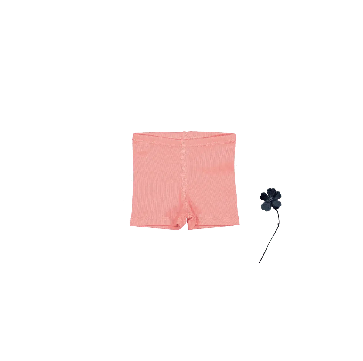 The Short - Coral - Pink, Active Shorts, Trunks, Undergarment, Briefs | Everetts Place