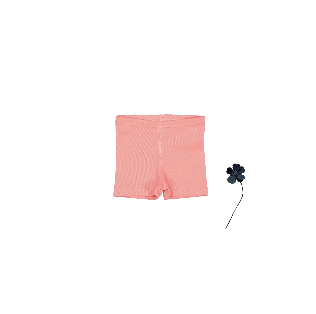 The Short - Coral - Pink, Active Shorts, Trunks, Undergarment, Briefs | Everetts Place