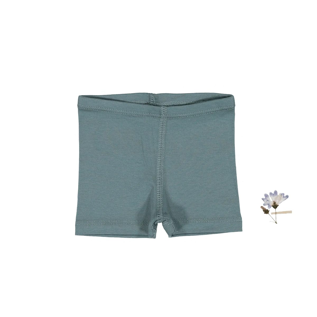 The Short - Fern - Undergarment, Active Shorts, Trunks, Underpants, Briefs | Everetts Place