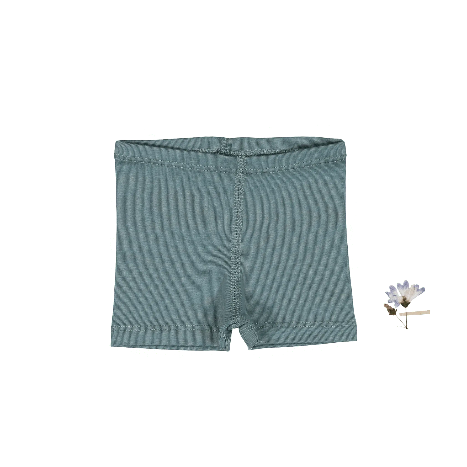 The Short - Fern - Undergarment, Active Shorts, Trunks, Underpants, Briefs | Everetts Place