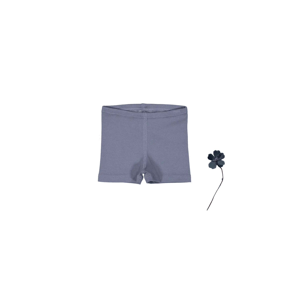 The Short - Midnight - Undergarment, Trunks, Briefs, Underpants, Active Shorts | Everetts Place