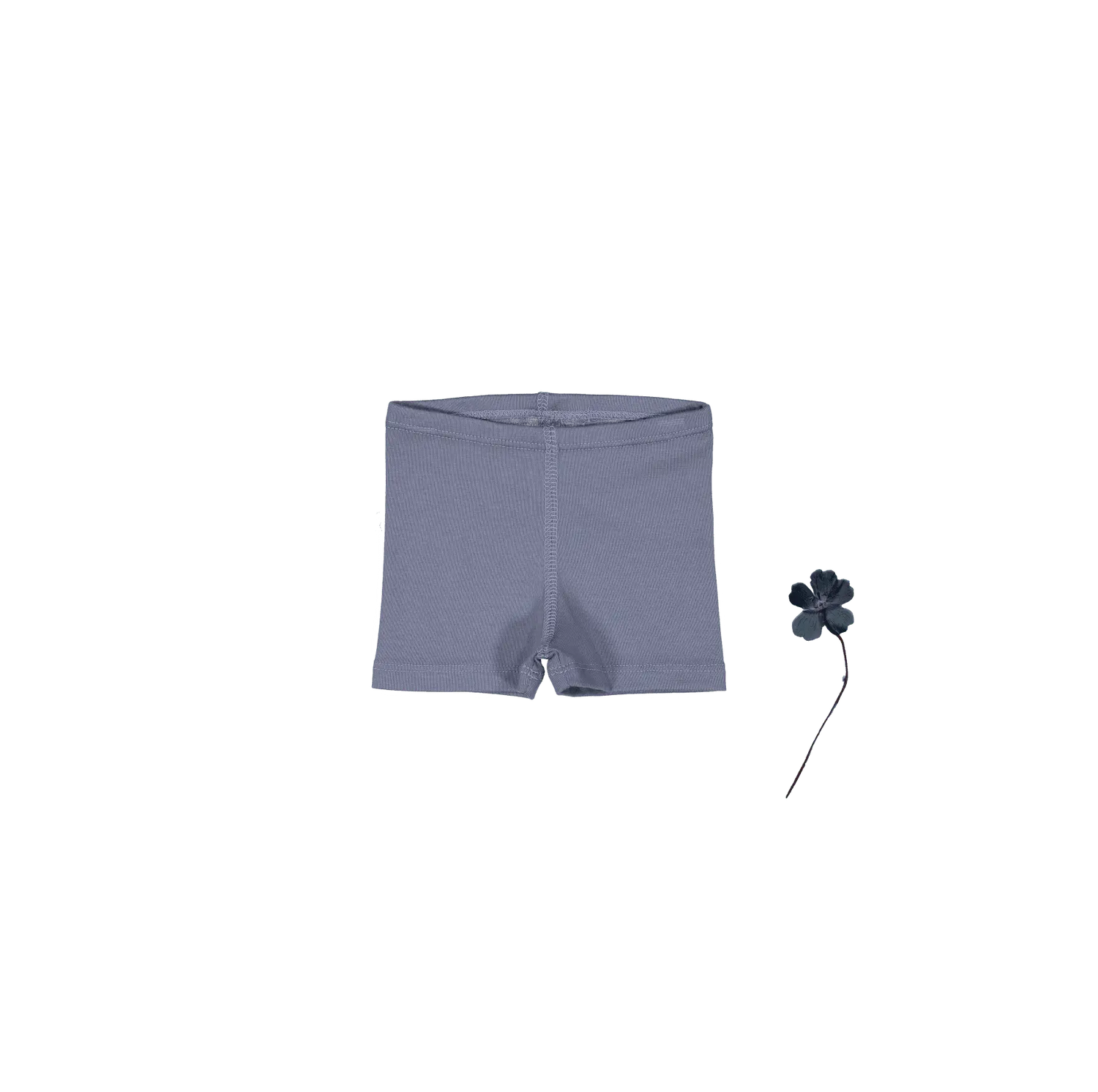 The Short - Midnight - Undergarment, Trunks, Briefs, Underpants, Active Shorts | Everetts Place