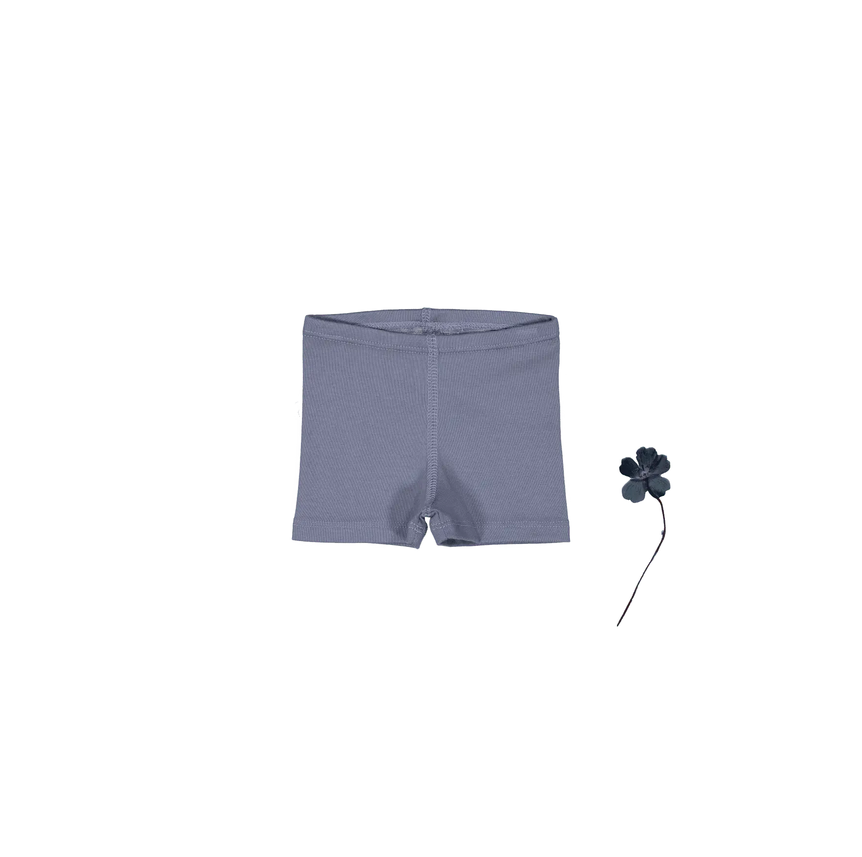 The Short - Midnight - Undergarment, Trunks, Briefs, Underpants, Active Shorts | Everetts Place