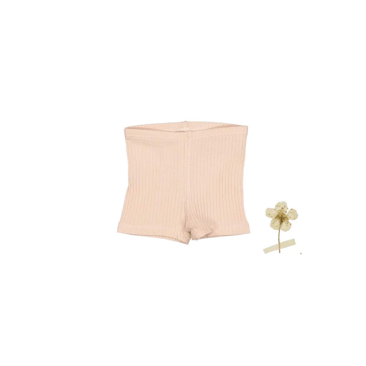 The Short - Powder - Active Shorts, Undergarment, Briefs, Trunks, Active Undergarment | Everetts Place