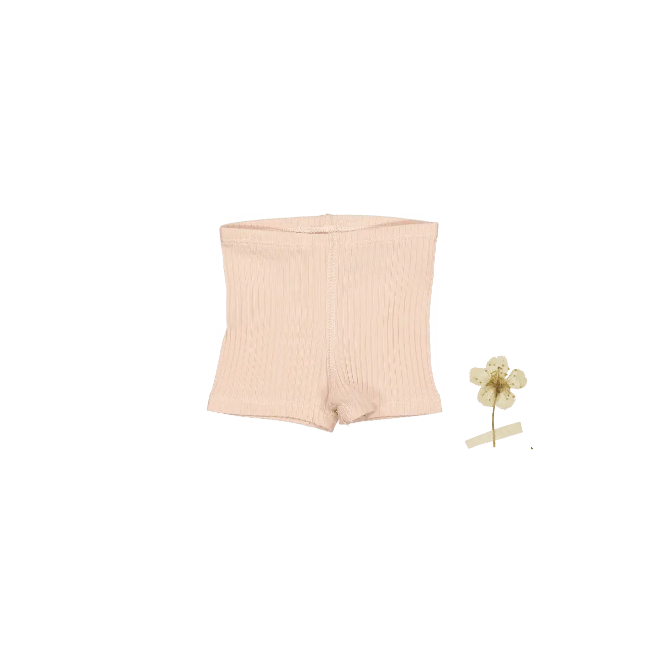 The Short - Powder - Active Shorts, Undergarment, Briefs, Trunks, Active Undergarment | Everetts Place
