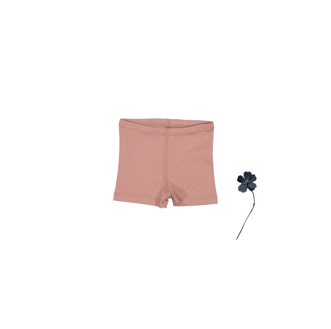 The Short - Rosewood - Undergarment, Pink, Briefs, Active Shorts, Trunks | Everetts Place