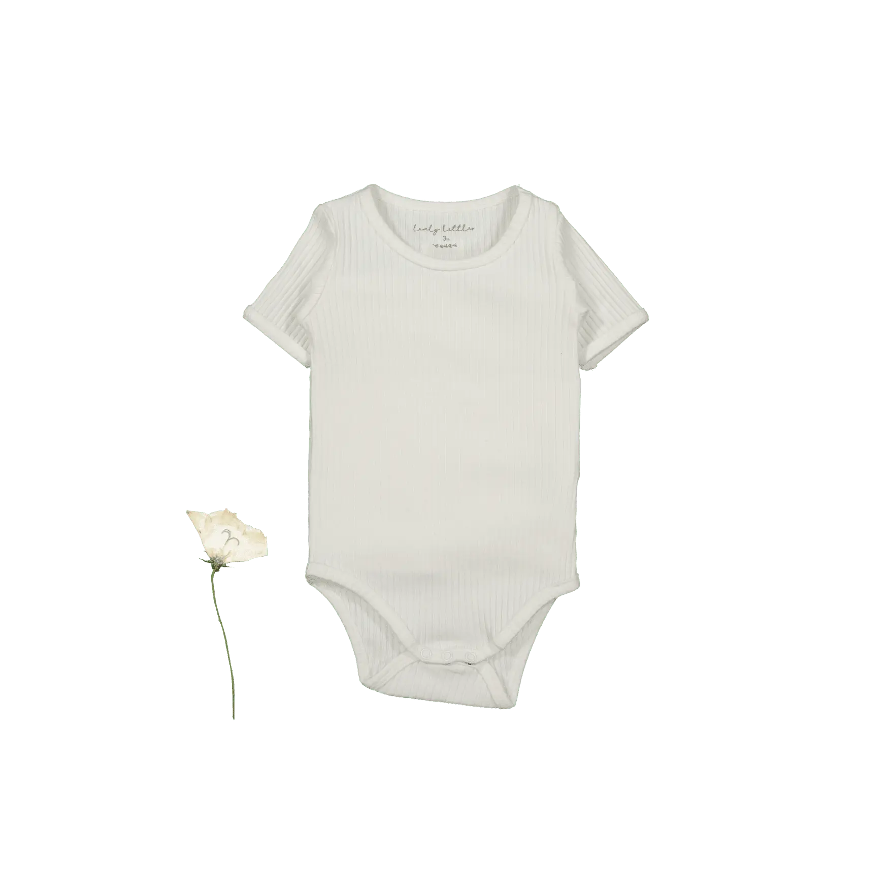 The Short Sleeve Onesie - Bone - Sleeve, White, Baby & Toddler Clothing, Textile, Infant bodysuit | Everetts Place