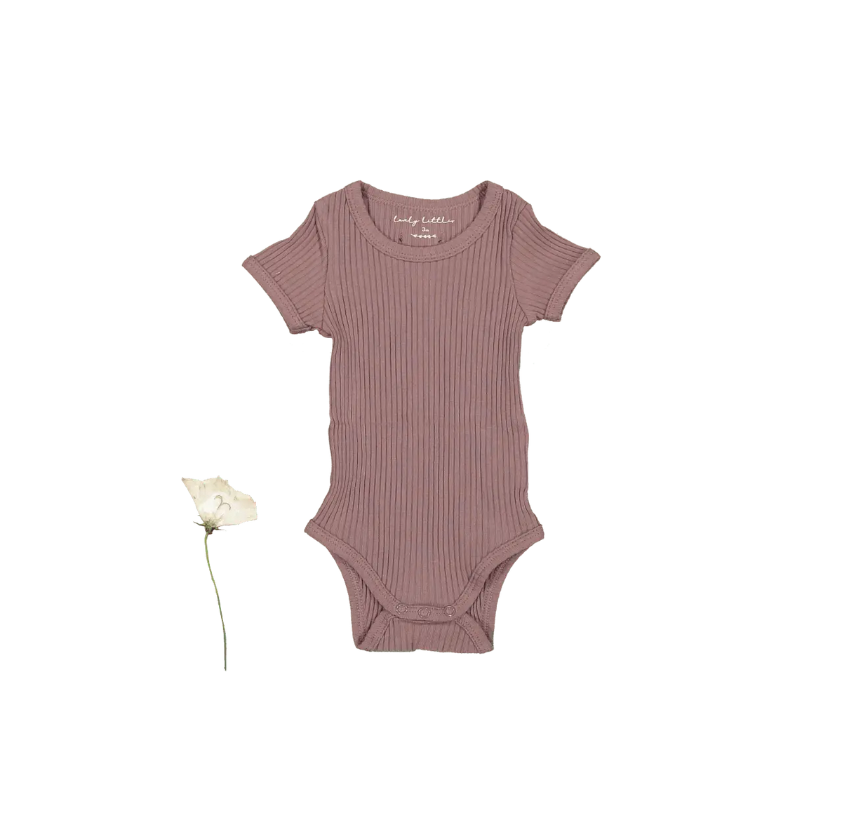 The Short Sleeve Onesie - Mink - Sleeve, Textile, Baby & Toddler Clothing, Infant bodysuit, Woolen | Everetts Place