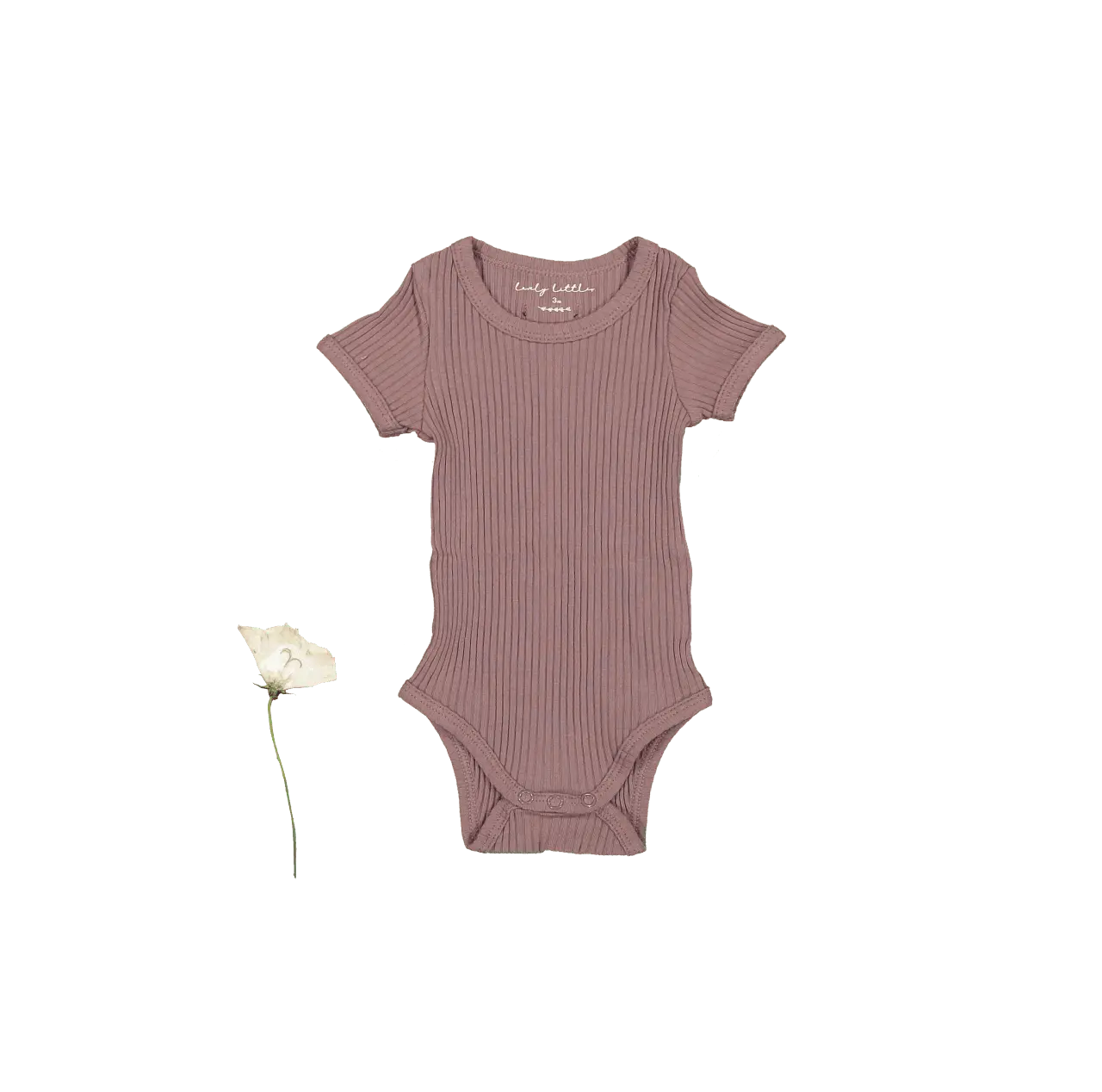 The Short Sleeve Onesie - Mink - Sleeve, Textile, Baby & Toddler Clothing, Infant bodysuit, Woolen | Everetts Place