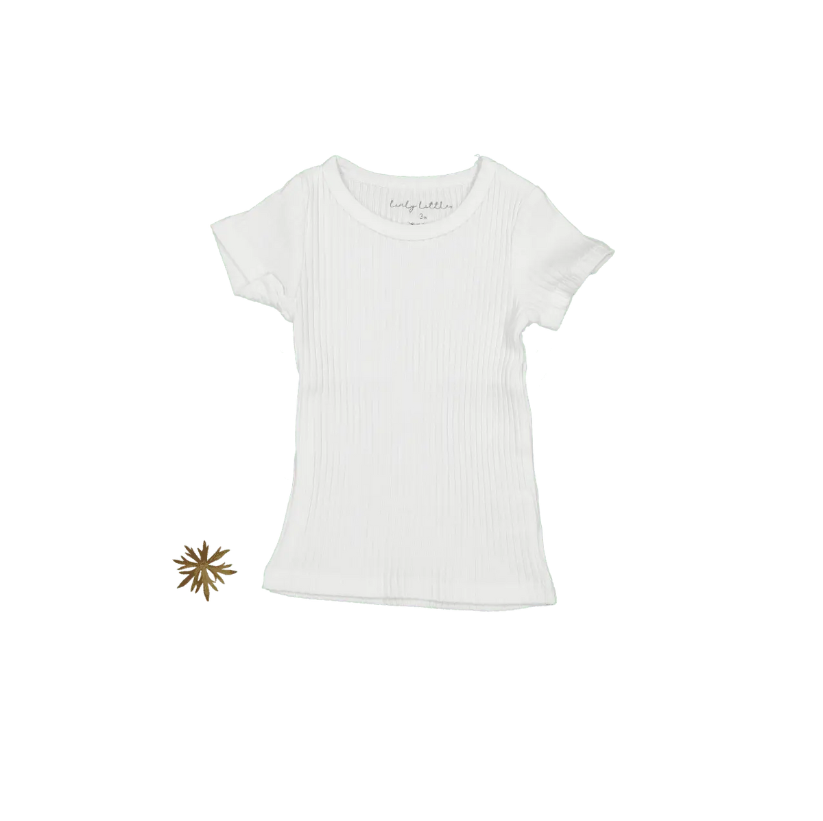 The Short Sleeve Tee - Bone - Sleeve, White, T-shirt, Textile, Fashion | Everetts Place