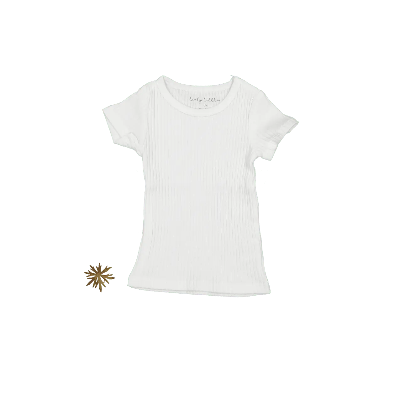 The Short Sleeve Tee - Bone - Sleeve, White, T-shirt, Textile, Fashion | Everetts Place