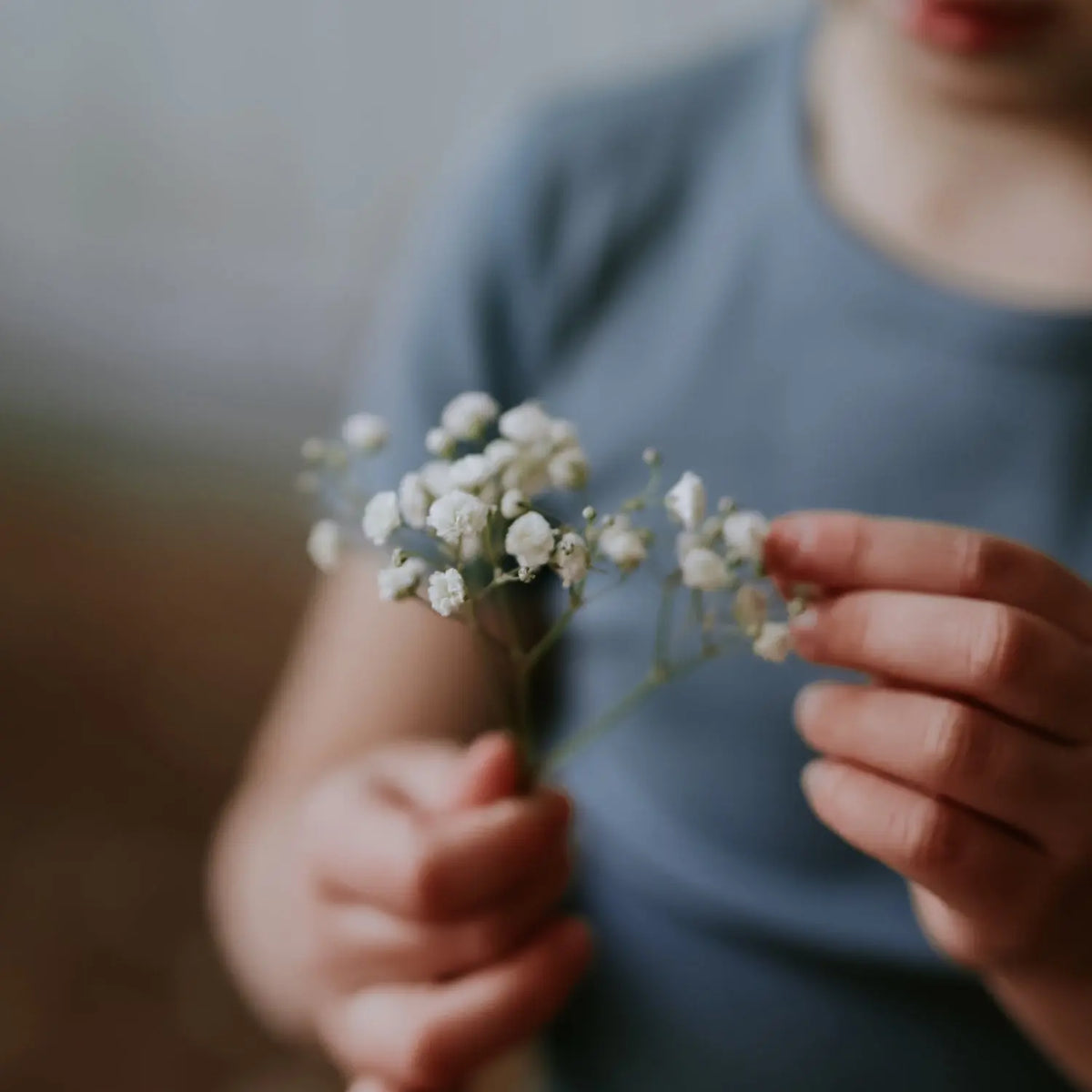 Lovely Littles The Short Sleeve Tee - Fern - 