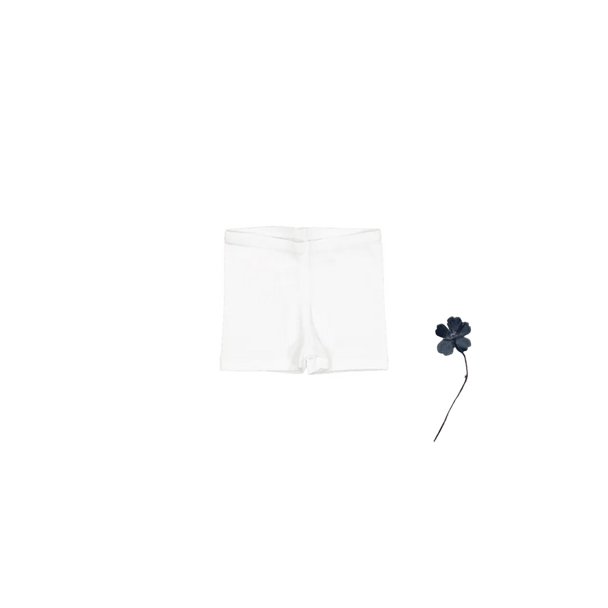 The Short - White - White, Active Shorts, Trunks, Briefs, Underpants | Everetts Place