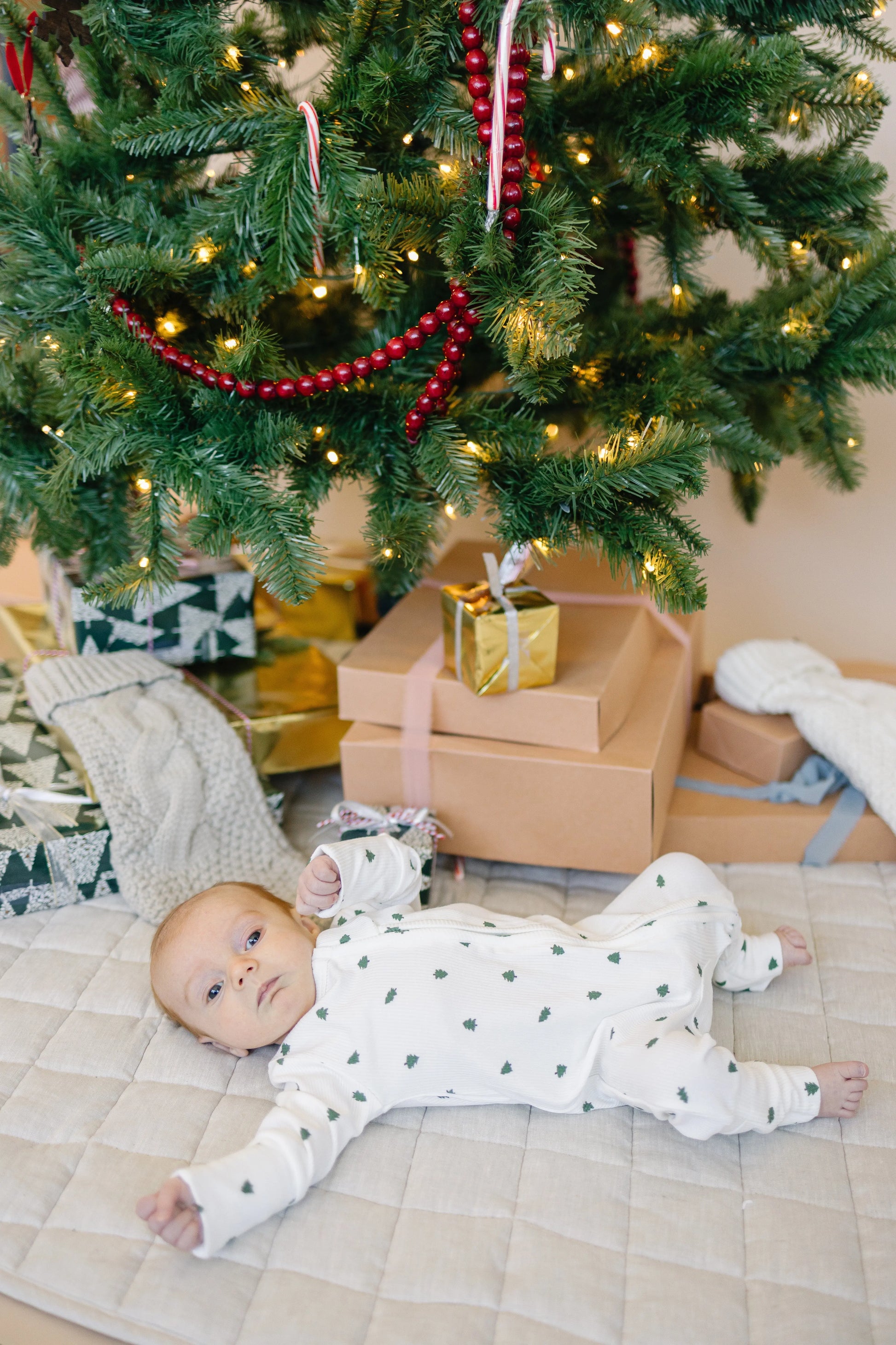 Tiny Trees Ribbed Bamboo Zippy Romper for Babies Everywhere Little Joy Co. Everetts Place: Online Boutique