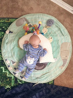 Travel Nursing Pillow Insert - Replacement Inner Pillow Form Luna Lullaby 