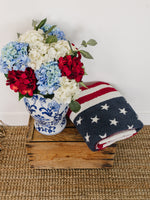Mebie Baby American Flag plush baby blanket