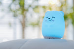 Sleeping Pal portable baby night light & soothing sound machine.