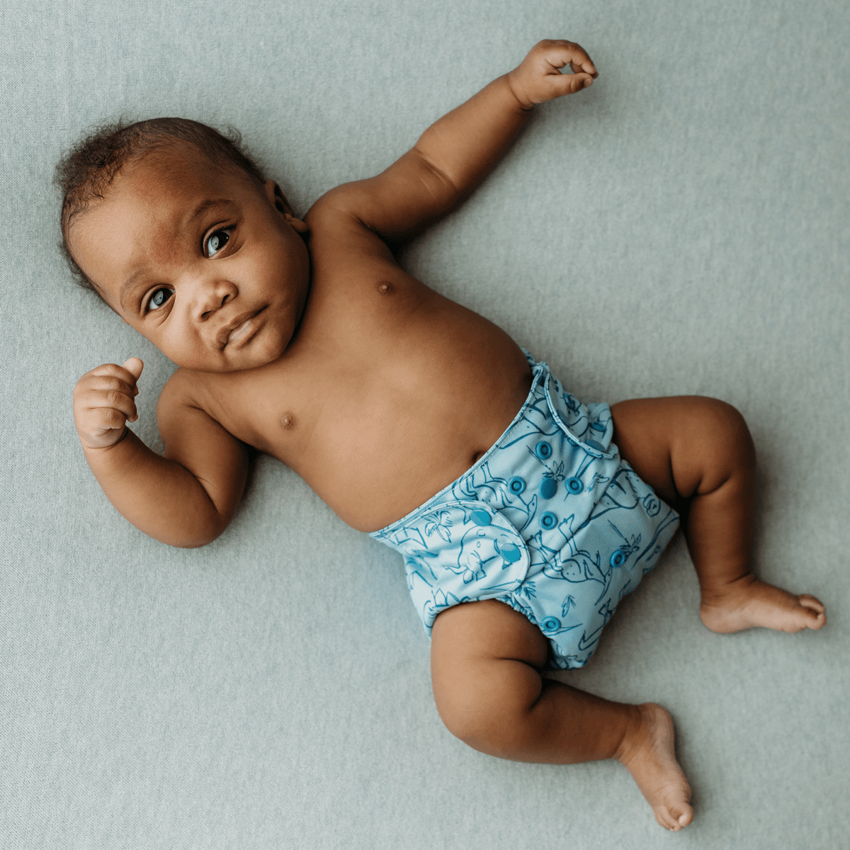 Kinder Cloth Diaper Co. Animals and Insects: Essentials Pocket Cloth Diaper with Athletic Wicking Jersey, Grows with your Baby Everetts Place