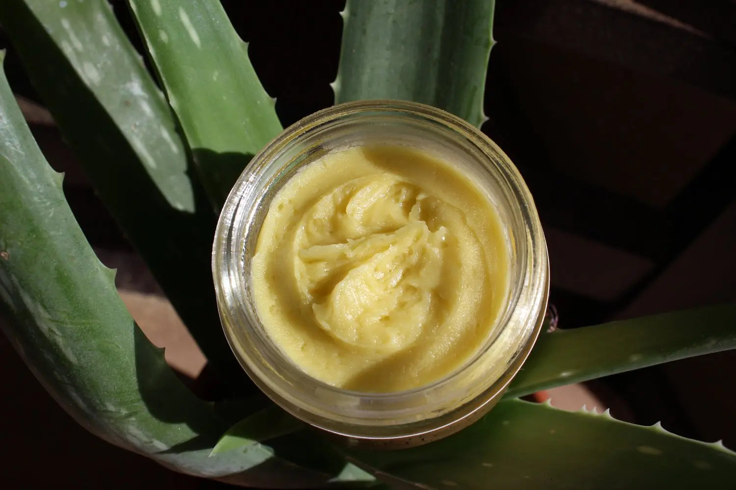 Anti Aging Night Cream Face Moisturizer with Organic Green Tea Extract Butter Me Up Organics