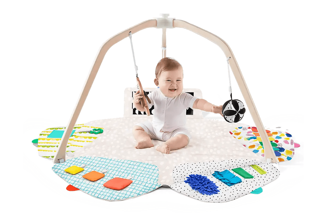 Award Winning Play Gym with Interactive Features for Infant Development - Everetts Place