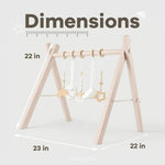 Comfy Cubs Baby Play Gym in Blush - 