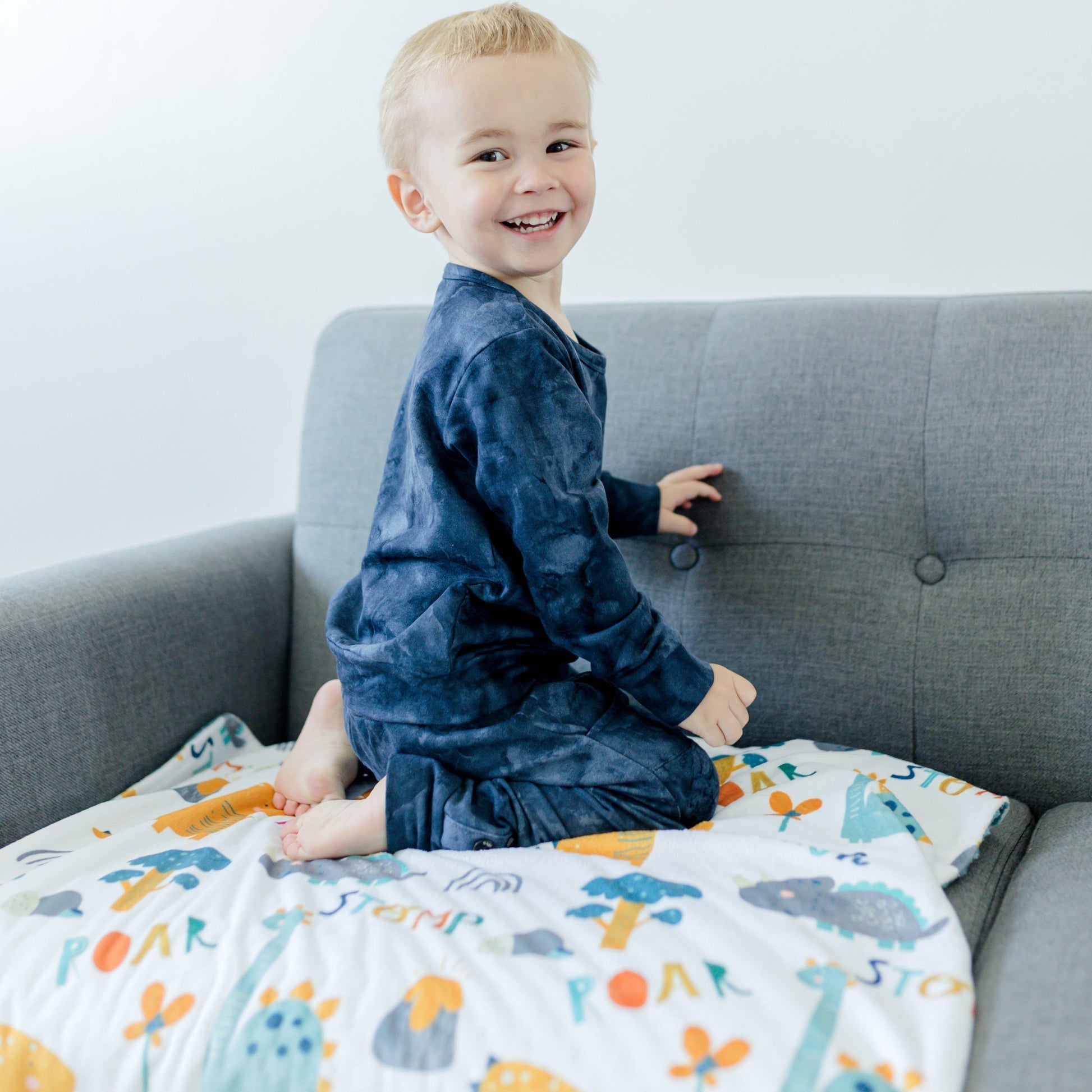 Baby And Toddler Minky Blanket Dinoland Blue Honey Lemonade