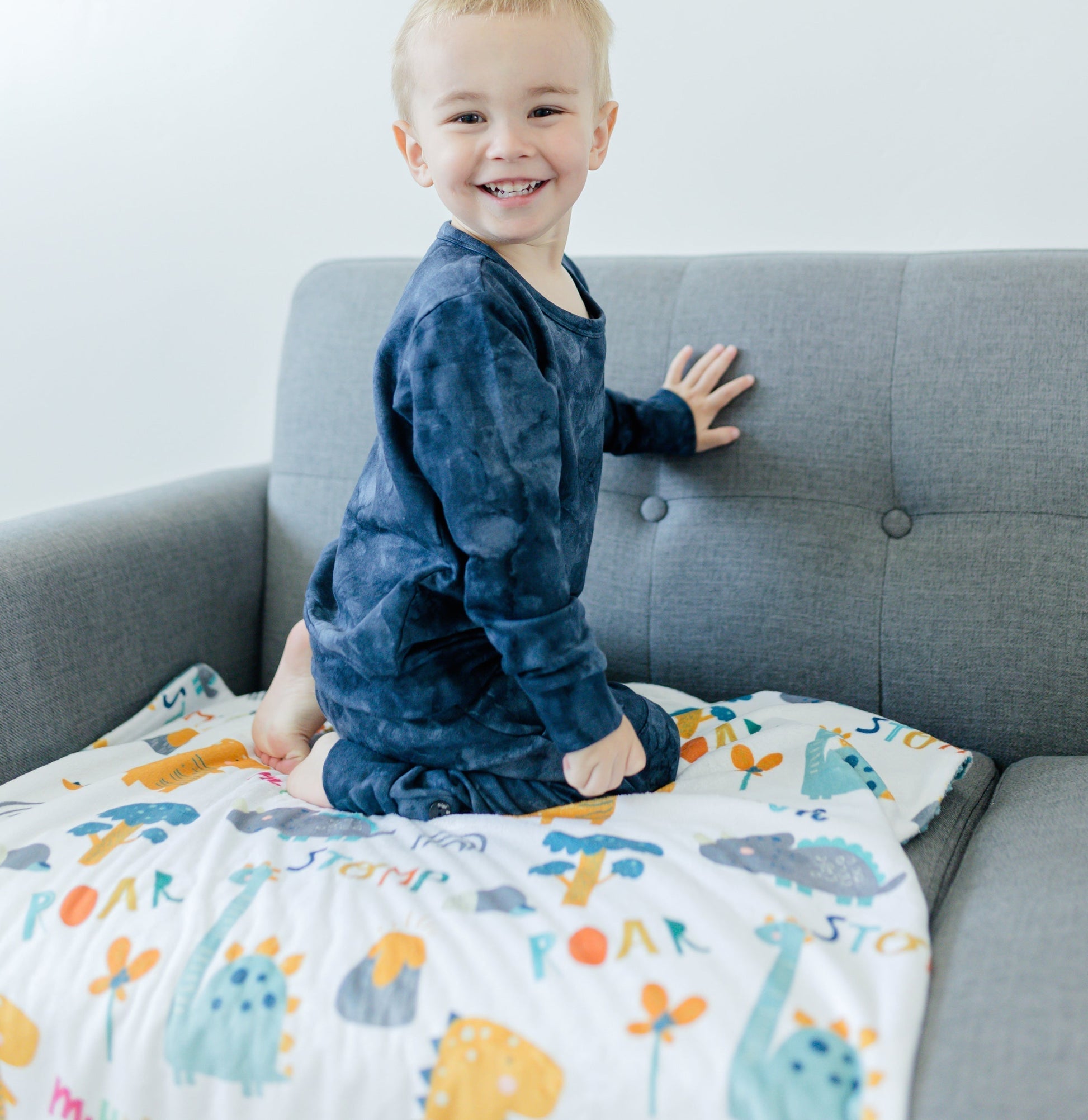 Baby And Toddler Minky Blanket Dinoland Blue Honey Lemonade