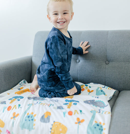 Baby And Toddler Minky Blanket Dinoland Blue Honey Lemonade