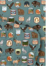 My First Adventure National Parks Reversible Bamboo Toddler Blanket | Wildlife Print by Rayn’s Tiny Stitches