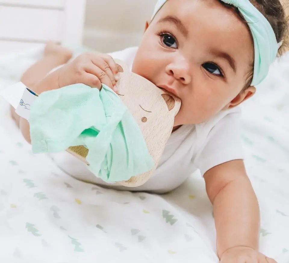 Goosewaddle® | Newborn Baby Blankets Toys Teethers Bibs & More Bear and Mint Wooden Teether and Soft Blanket Set for Teething Babies - 