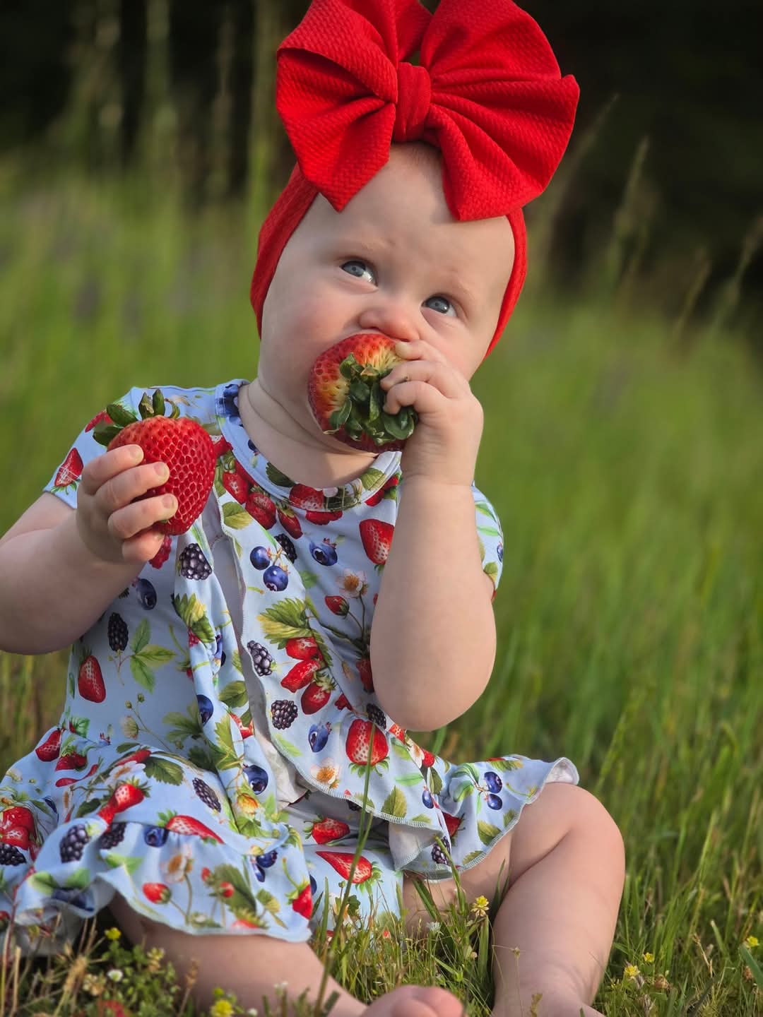 Dragonfly Dreams Bamboo Berry Delight Short Sleeve Twirl Dress with Bodysuit