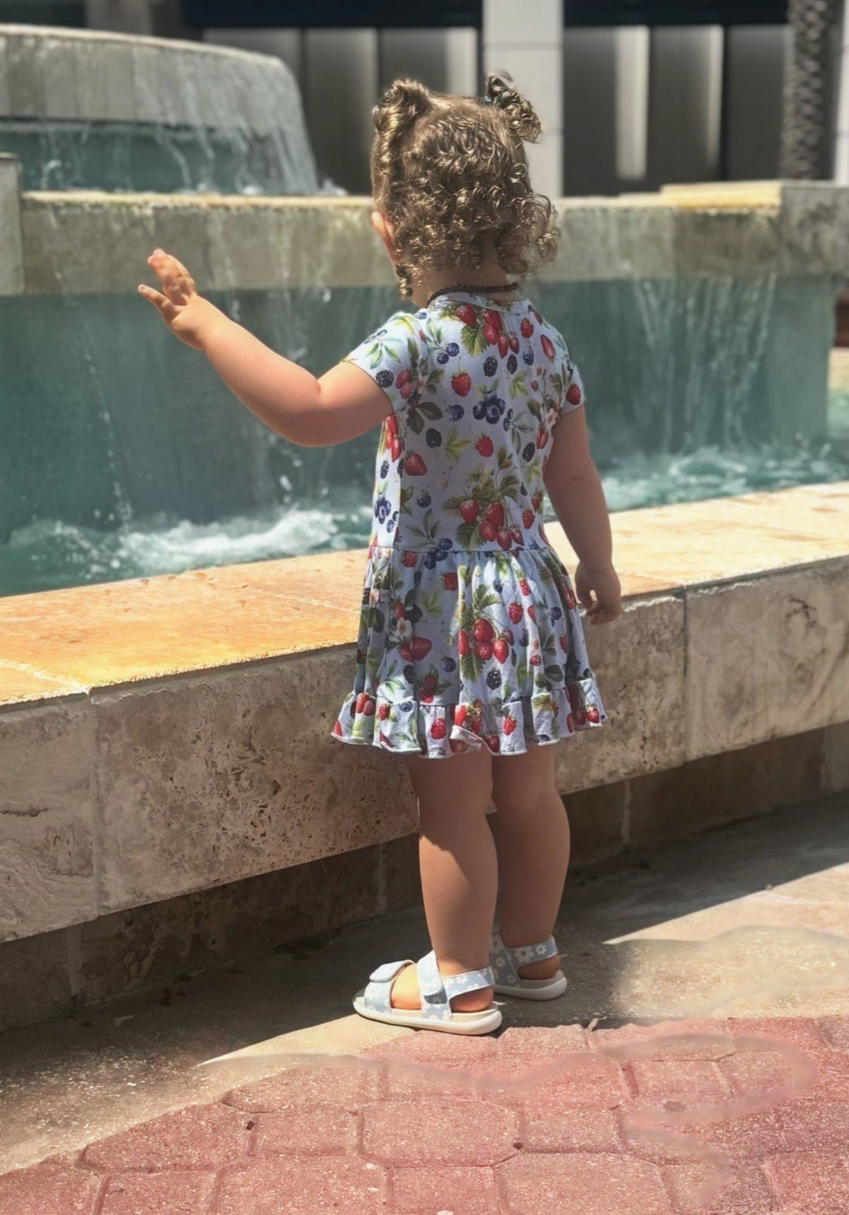 Dragonfly Dreams Bamboo Berry Delight Short Sleeve Twirl Dress with Bodysuit