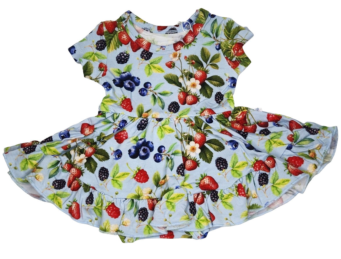 Dragonfly Dreams Bamboo Berry Delight Short Sleeve Twirl Dress with Bodysuit