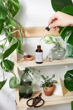 Butter Me Up Organics Best Beard On The Block Organic Beard Oil for Nourished Facial Hair - 