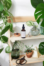 Butter Me Up Organics Best Beard On The Block Organic Beard Oil for Nourished Facial Hair - 