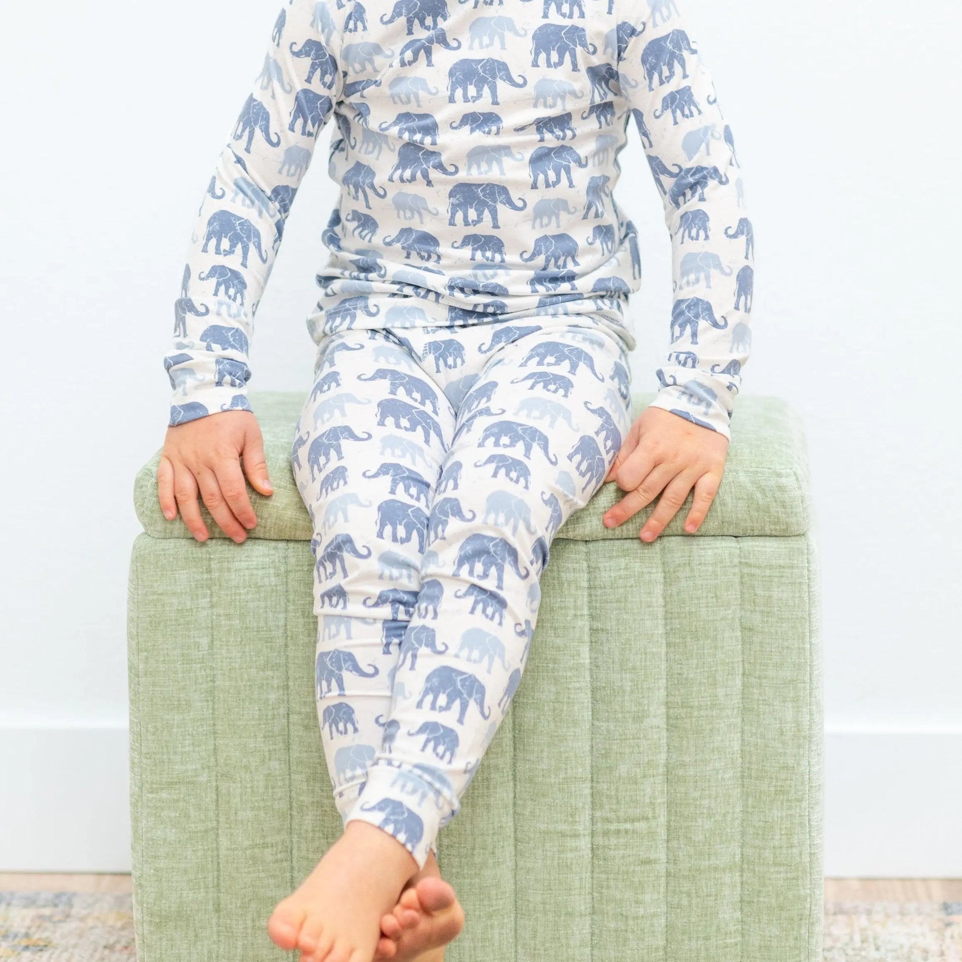 Blue Elephant Two Piece Pajama Set for Kids Comfortable Long Sleeve Top and Cuffed Pants Sweet Bamboo