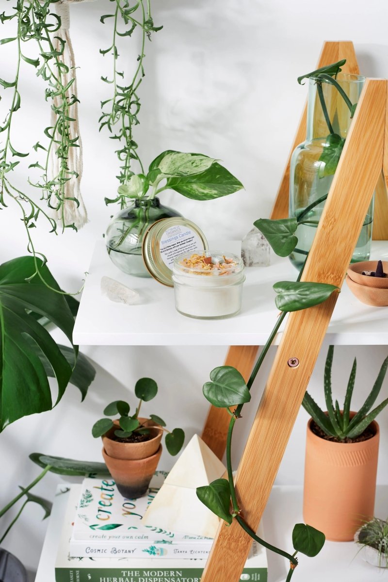 Blessings Intention Candle with Crystals and Essential Oils for Positive Vibes - Everetts Place