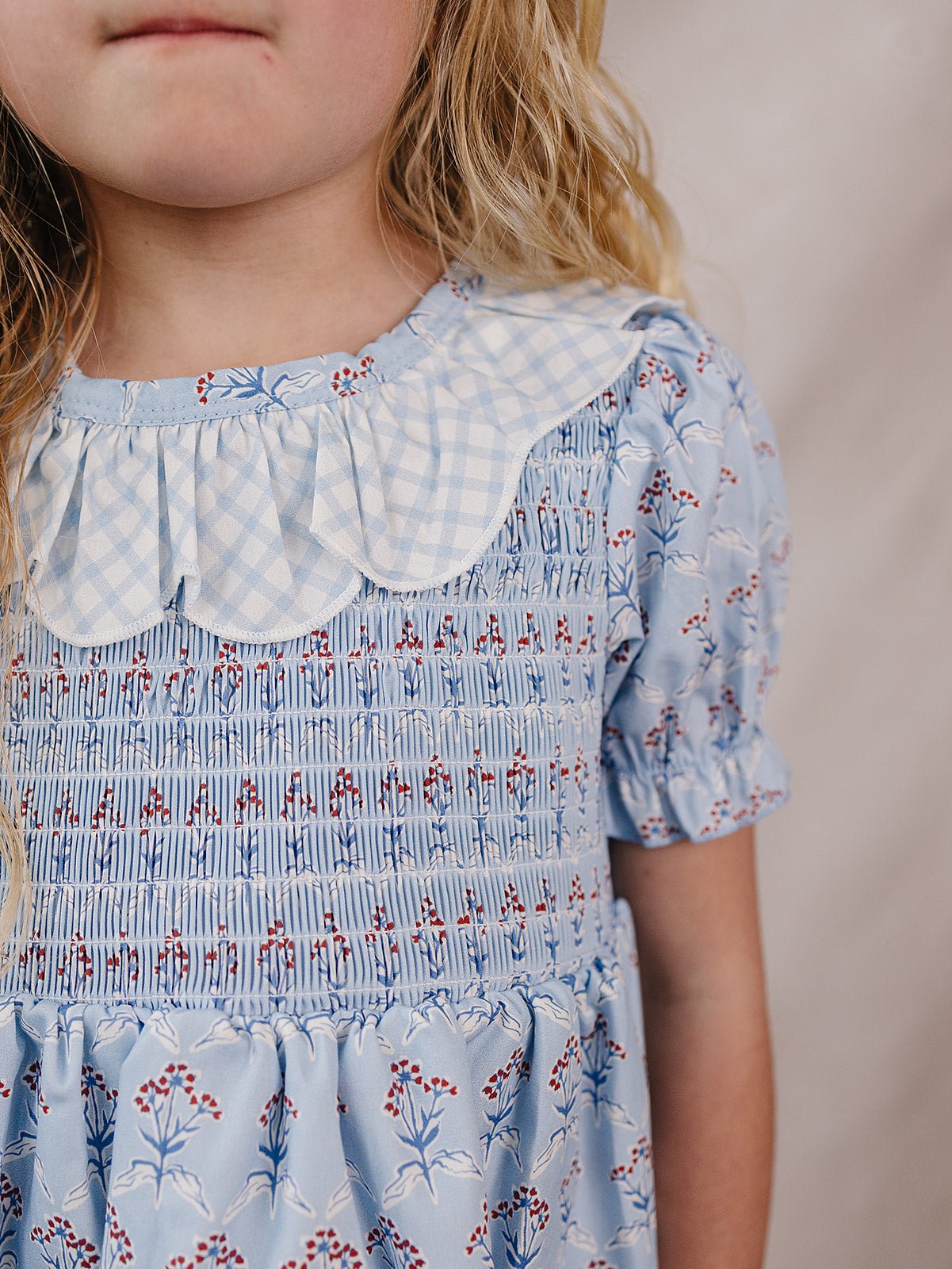 Mebie Baby Blue Meadow Dress For Baby And Toddler With Gingham Collar - 