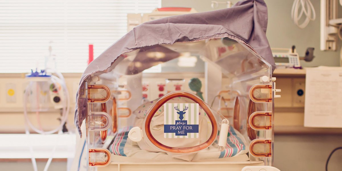 Three Little Tots Boy Preemie Three Little Tots NICU Milestone Cards in Plastic - 