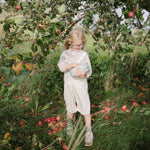 Mushie BPA Free Plastic Lunchbox with Built In Compartments and Locking Utensils - Everetts Place Boutique - 